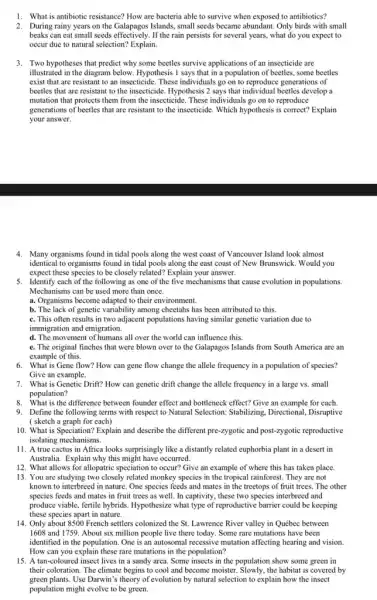 1. What is antibiotic resistance?How are bacteria able to survive when exposed to antibiotics?
2. During rainy years on the Galapagos Islands, small seeds became abundant. Only birds with small
beaks can eat small seeds effectively. If the rain persists for several years, what do you expect to
occur due to natural selection? Explain.
3. Two hypotheses that predict why some beetles survive applications of an insecticide are
illustrated in the diagram below.Hypothesis 1 says that in a population of beetles,some beetles
exist that are resistant to an insecticide. These individuals go on to reproduce generations of
beetles that are resistant to the insecticide. Hypothesis 2 says that individual beetles develop
mutation that protects them from the insecticide. These individuals go on to reproduce
generations of beetles that are resistant to the insecticide. Which hypothesis is correct? Explain
your answer.
4. Many organisms found in tidal pools along the west coast of Vancouver Island look almost
identical to organisms found in tidal pools along the east coast of New Brunswick. Would you
expect these species to be closely related? Explain your answer.
5. Identify each of the following as one of the five mechanisms that cause evolution in populations.
Mechanisms can be used more than once.
a. Organisms become adapted to their environment.
b. The lack of genetic variability among cheetahs has been attributed to this.
c. This often results in two adjacent populations having similar genetic variation due to
immigration and emigration.
d. The movement of humans all over the world can influence this.
e. The original finches that were blown over to the Galapagos Islands from South America are an
example of this.
6. What is Gene flow?How can gene flow change the allele frequency in a population of species?
Give an example.
7. What is Genetic Drift?How can genetic drift change the allele frequency in a large vs.small
population?
8. What is the difference between founder effect and bottleneck effect? Give an example for each.
9. Define the following terms with respect to Natural Selection: Stabilizing, Directional,Disruptive
( sketch a graph for each)
10. What is Speciation? Explain and describe the different pre-zygotic and post-zygotic reproductive
isolating mechanisms.
11. A true cactus in Africa looks surprisingly like a distantly related euphorbia plant in a desert in
Australia. Explain why this might have occurred.
12. What allows for allopatric speciation to occur?Give an example of where this has taken place.
13. You are studying two closely related monkey species in the tropical rainforest . They are not
known to interbreed in nature. One species feeds and mates in the treetops of fruit trees.The other
species feeds and mates in fruit trees as well.In captivity, these two species interbreed and
produce viable, fertile hybrids Hypothesize what type of reproductive barrier could be keeping
these species apart in nature.
14. Only about 8500 French settlers colonized the St. Lawrence River valley in Québec between
1608 and 1759. About six million people live there today. Some rare mutations have been
identified in the population One is an autosomal recessive mutation affecting hearing and vision.
How can you explain these rare mutations in the population?
15. A tan-coloured insect lives in a sandy area.Some insects in the population show some green in
their coloration. The climate begins to cool and become moister. Slowly, the habitat is covered by
green plants. Use Darwin's theory of evolution by natural selection to explain how the insect
population might evolve to be green.