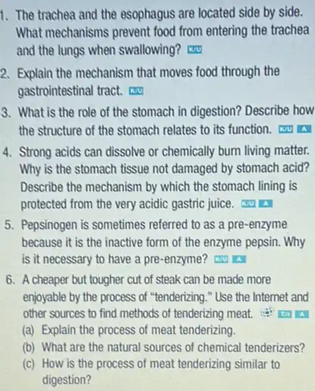 1. The trachea and the esophagus are located side by side.
What mechanisms prevent food from entering the trachea
and the lungs when swallowing?
2. Explain the mechanism that moves food through the
gastrointestinal tract.
3. What is the role of the stomach in digestion? Describe how
the structure of the stomach relates to its function.
4. Strong acids can dissolve or chemically burn living matter.
Why is the stomach tissue not damaged by stomach acid?
Describe the mechanism by which the stomach lining is
protected from the very acidic gastric juice.A
5. Pepsinogen is sometimes referred to as a pre-enzyme
because it is the inactive form of the enzyme pepsin. Why
is it necessary to have a pre-enzyme?A. A
6. A cheaper but tougher cut of steak can be made more
enjoyable by the process of "tenderizing." Use the Internet and
other sources to find methods of tenderizing meat.
(a) Explain the process of meat tenderizing.
(b) What are the natural sources of chemical tenderizers?
(c) How is the process of meat tenderizing similar to
digestion?