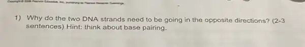 1) Why do the two DNA strands need to be going in the opposite directions? (2-3
sentences) Hint: think about base pairing.