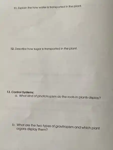 11. Explain the how water is transported in the plant.
12. Describe how sugar is transported in the plant.
13. Control Systems:
a. What kind of phototropism do the roots in plants display?
b. What are the two types of gravitropism and which plant
organs display them?