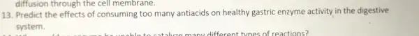 13. Predict the effects of consuming too many antiacids on healthy gastric enzyme activity in the digestive
system.
diffusion through the cell membrane.