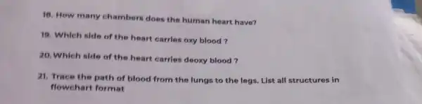 18. How many chambers does the human heart have?
19. Which side of the heart carries oxy blood?
20. Which side of the heart carries deoxy blood?
21. Trace the path of blood from the lungs to the legs. List all structures in
flowchart format