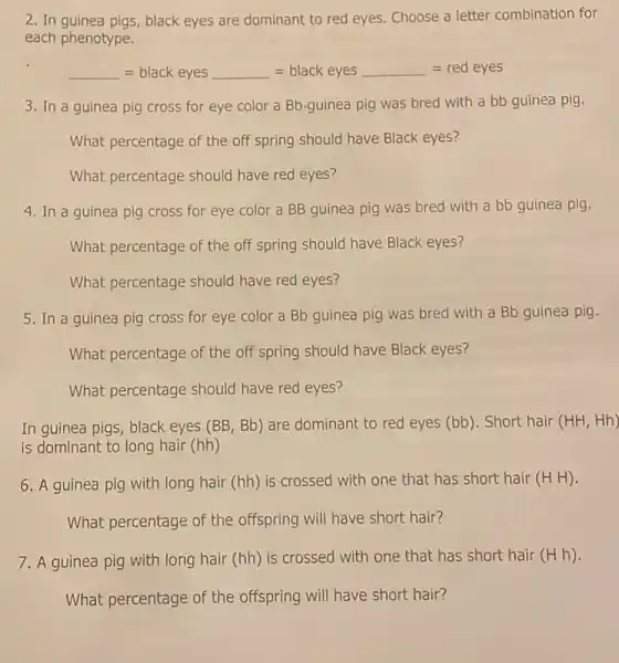 2. In guinea pigs, black eyes are dominant to red eyes. Choose a letter combination for
each phenotype.
underline ( )=black eyesunderline ( )=black eyesunderline ( )=red eyes
3. In a guinea pig cross for eye color a Bb-guinea pig was bred with a bb guinea pig.
What percentage of the off spring should have Black eyes?
What percentage should have red eyes?
4. In a guinea pig cross for eye color a BB guinea pig was bred with a bb guinea pig.
What percentage of the off spring should have Black eyes?
What percentage should have red eyes?
5. In a guinea pig cross for eye color a Bb guinea pig was bred with a Bb guinea pig.
What percentage of the off spring should have Black eyes?
What percentage should have red eyes?
In guinea pigs, black eyes (BB, Bb ) are dominant to red eyes (bb)Short hair (HH,Hh)
is dominant to long hair (hh)
6. A guinea pig with long hair (hh) is crossed with one that has short hair (H H).
What percentage of the offspring will have short hair?
7. A guinea pig with long hair (hh)is crossed with one that has short hair (H h).
What percentage of the offspring will have short hair?