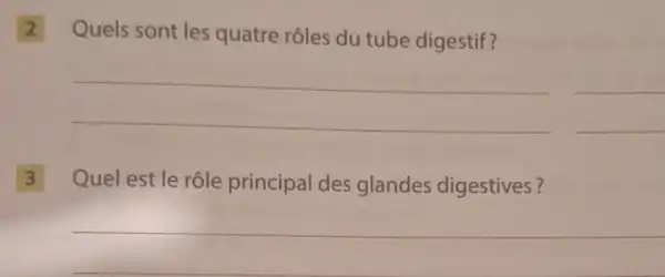 2 Quels sont les quatre rôles du tube digestif?
__
__
3 Quel est le rôle principal des glandes digestives?
__