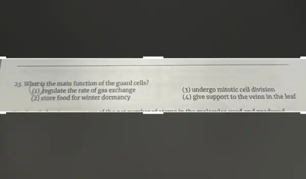 23. What's the main function of the guard cells?
(1) regulate the rate of gas exchange
(3) undergo mitotic cell division
(2) store food for winter dormancy
(4) give support to the veins in the leaf