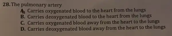 28. The pulmonary artery
A. Carries oxygenated blood to the heart from the lungs
B. Carries deoxygenated blood to the heart from the lungs
C. Carries oxygenated blood away from the heart to the lungs
D. Carries deoxygenated blood away from the heart to the lungs