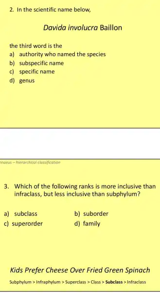 2.In the scientific name below,
Davida involucra Baillon
the third word is the
a) authority who named the species
b) subspecific name
c) specific name
d) genus
nnaeus-hierarchica classification
3. Which of the following ranks is more inclusive than
infraclass, but less inclusive than subphylum?
a) subclass
b) suborder
c) superorder
d) family
Kids Prefer Cheese Over Fried Green Spinach
Sujpphyvert umgt Infrasirylumgt Sujercassgt Cassgt Subclassgt Infraclass