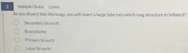 2
Multiple Choice 1 point
As you dissect into the lungs, you will insert a large tube into which lung structure to inflate it?
Secondary bronchi
Bronchioles
Primary bronchi
Lobar Bronchi