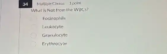 34
Multiple Choice: 1 point
What is Not from the WBCs?
Eosinophils
Leukocyte
Granulocyte
C Erythrocyte