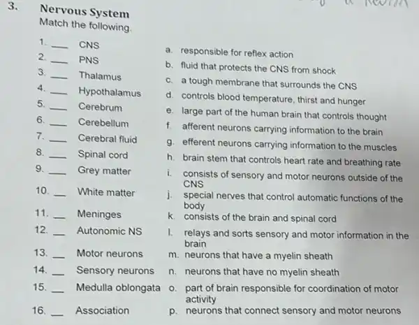 3.
Nervous System
following
1. __ CNS
2. __ PNS
3. __ Thalamus
4. __ Hypothalamus
5. __ Cerebrum
6. __ Cerebellum
7. __ Cerebral fluid
8. __ Spinal cord
9. __ Grey matter
10. __ White matter
11. __ Meninges
12. __ Autonomic NS
13. __ Motor neurons
14. __ Sensory neurons
15. __ Medulla oblongata
16. __ Association
a. responsible for reflex action
b. fluid that protects the CNS from shock
c. a tough membrane that surrounds the CNS
d. controls blood temperature thirst and hunger
e. large part of the human brain that controls thought
f. afferent neurons carrying information to the brain
g. efferent neurons carrying information to the muscles
h. brain stem that controls heart rate and breathing rate
i. consists of sensory and motor neurons outside of the
CNS
j. special nerves that control automatic functions of the
body
k. consists of the brain and spinal cord
I. relays and sorts sensory and motor information in the
brain
m. neurons that have a myelin sheath
n. neurons that have no myelin sheath
o. part of brain responsible for coordination of motor
activity
p. neurons that connect sensory and motor neurons