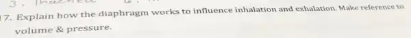 7. Explain how the diaphragm works to influence inhalation and exhalation. Make reference to
volume &pressure.