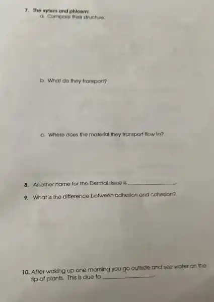 7. The xylem and phloem:
a. Compare their stuclure.
b. What do they transport?
c. Where does the material they transport flow to?
8. Another name for the Dermal tissue is __
9. What is the difference between adhesion and cohesion?
10. After waking up one morning you go outside
and see water on the
tip of plants. This is due to
__