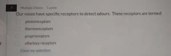 7
Multiple Choice 1 point
Our noses have specific receptors to detect odours. These receptors are termed
photoreceptors
thermoreceptors
proprioceptors
olfactory receptors
Clear my selection