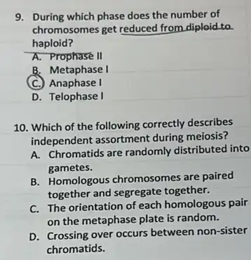 9. During which phase does the number of
chromosomes get reduced from diploid to
haploid?
A. Prophase II
B. Metaphase I
(C.) Anaphase I
D. Telophase I
10. Which of the following correctly describes
independent assortment during meiosis?
A. Chromatids are randomly distributed into
gametes.
B. Homologous chromosomes are paired
together and segregate together.
C. The orientation of each homologous pair
on the metaphase plate is random.
D. Crossing over occurs between non-sister
chromatids.