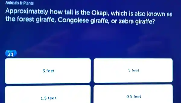 Animals 6 Plants
Approximately how tall is the Okapi, which is also known as
the forest giraffe Congolese giraffe, or zebra giraffe?
3 feet
sfeet
1.5 feet
0.5 feet