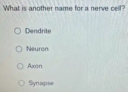 What is another name for a nerve cell?
Dendrite
Neuron
Axon
Synapse