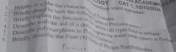 appropriate.
scribe the character "ustrations where
1. Briefly describe how inction of a Protonom tozoa move
explain the function
3. Describe polymorphism in Phili diagram cell types found in sponges
describe the Four (4)class Cnidaria
6	Phylum Platyhelminthes
CAT 1,10/10/2024
SACADEMIC