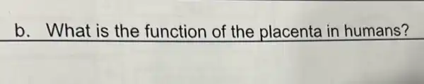 b. What is the function of the placenta in humans?
square