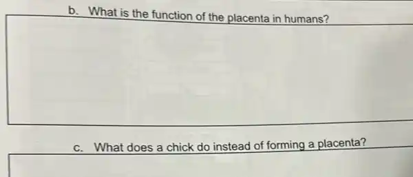 b. What is the function
square 
c. What does a chick do instead of forming a placenta?