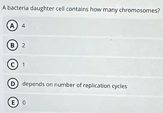 A bacteria daughter cel contains how many chromosomes?
A 4
B 2
C 1
D depends on number of replication cycles
E 0