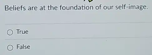 Beliefs are at the foundation of our self -image.
True
False
