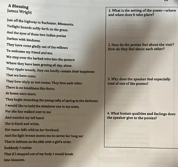 A Blessing
James Wright
Just off the highway to Rochester, Minnesota,
Twillght bounds softly forth on the grass.
And the eyes of those two Indian ponies
Darken with kindness.
They have come gladly out of the willows
To welcome my friend and me.
We step over the barbed wire into the pasture
Where they have been grazing all day, alone.
They ripple tensely, they can hardly contain their happiness
That we have come.
They bow shyly as wet swans. They love each other.
There is noloneliness like theirs.
At home once more,
They begin munching the young tufts of spring in the darkness.
I would like to hold the slenderer one in my arms,
For she has walked over to me
And nuzzled my left hand.
She is black and white,
Her mane falls wild on her forehead,
And the light breeze moves me to caress her long ear
That is delicate as the skin over a girl's wrist.
Suddenly 1 realize
That if I stepped out of my body I would break
Into blossom.
1. What Is the setting of the poem-where
and when does it take place?
2. How do the ponles feel about the visit?
How do they feel about each other?
3. Why does the speaker feel especially
fond of one of the ponles?
4. What human qualities and feelings does
the speaker give to the ponies?