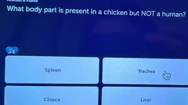 What body part is present in a chicken but NOT a human?
Spleen
Trachea
Cloaca
Liver