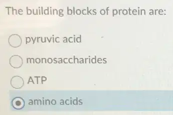 The building blocks of protein are:
pyruvic acid
monosaccharides
ATP
C amino acids