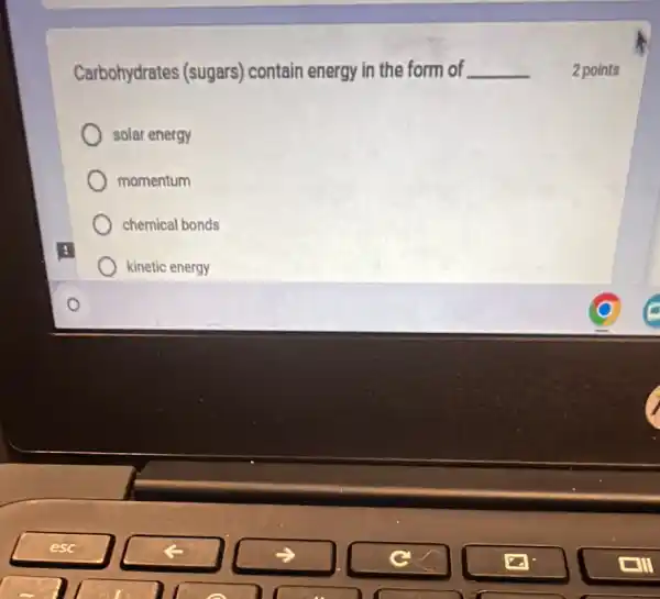 Carbohydrates (sugars) contain energy in the form of __
solar energy
momentum
chemical bonds
kinetic energy
2 points