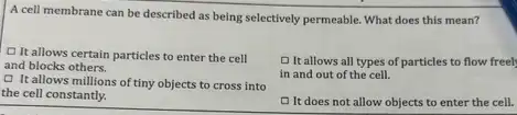 A cell membrane can be described as being selectively permeable. What does this mean?
D It allows certain particles to enter the cell
and blocks others.
D It allows all types of particles to flow freel
in and out of the cell.
(1) It allows millions of tiny objects to cross into
the cell constantly.
It does not allow objects to enter the cell.