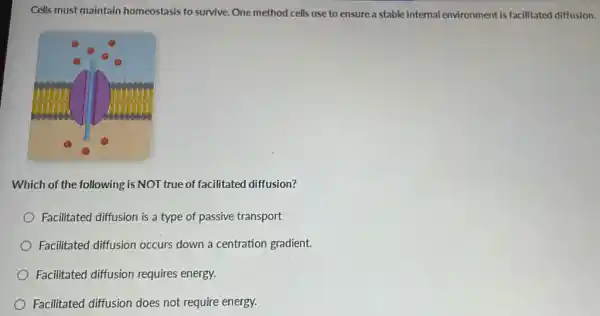 Cells must maintain homeostasis to survive. One method cells use to ensure a stable internal environment is facilitated diffusion.
Which of the following is NOT true of facilitated diffusion?
Facilitated diffusion is a type of passive transport
Facilitated diffusion occurs down a centration gradient.
Facilitated diffusion requires energy.
Facilitated diffusion does not require energy.