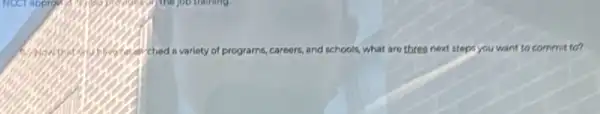 ched a variety of programs, careers, and schools,what are three next steps you want to commit to?