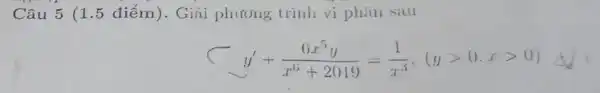 Câu 5 (1.5 điếm). Giải phương trình vi phân sau
y'+(6x^5y)/(x^6)+2019=(1)/(x^3),(ygt 0,xgt 0)