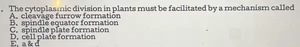 The cytoplasmic division in plants must be facilitated by a mechanism called
A.cleavage furrow formation
B. spindle equator formation
C. spindle plate formation
D. cell plate formation
E.a&d