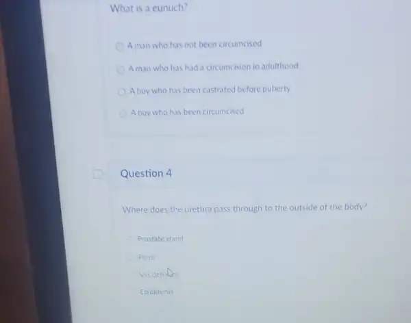 What is a eunuch?
A man who has not been circumcised
Aman who has had a circumcision in adulthood
A boy who has been castrated before puberty
A boy who has been circumcised
Question 4
Where does the urethra pass through to the outside of the body?
Prostate gland
Penis
Vas defertans
Epididymis