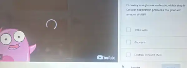 For evary one glucens malacule, whish stepin
Colular Respiration procuces the graatast
amount of ATP?
Grycolysis
Eactran Traneport Chin