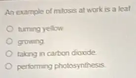 An example of milosis at work is a leaf
tuming yellow
growing
taking in carbon dioxide
performing photosynthesis