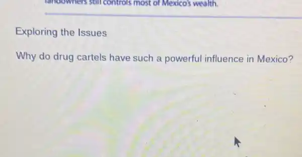 Exploring the Issues
Why do drug cartels have such a powerful influence in Mexico?