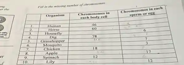 Fill in the missing number of chromosomes.