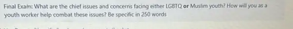 Final Exam: What are the chief issues and concerns facing either LGBTQ or Muslim youth? How will you as a
youth worker help combat these issues? Be specific in 250 words