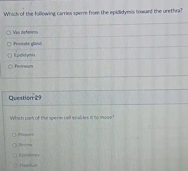 Which of the following carries sperm from the epididymis toward the urethra?
Vas deferens
Prostate gland
Epididymis
Perineum
Question 29
Which part of the sperm cell enables it to move?
Prepuce
Stroma
Epididymis
Flagellum