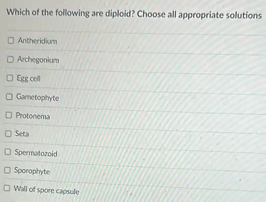 Which of the following are diploid? Choose all appropriate solutions
Antheridium
Archegonium
Egg cell
Gametophyte
Protonema
Seta
Spermatozoid
Sporophyte
Wall of spore capsule