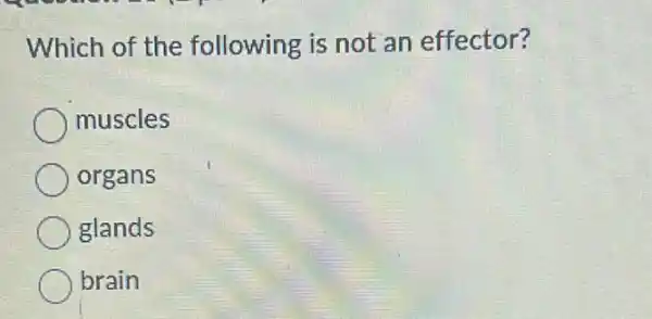 Which of the following is not an effector?
muscles
organs
glands
brain