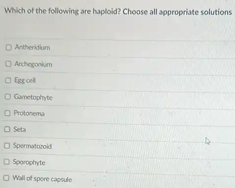 Which of the following are haploid? Choose all appropriate solutions
Antheridium
Archegonium
Egg cell
Gametophyte
Protonema
Seta
Spermatozoid
Sporophyte
Wall of spore capsule