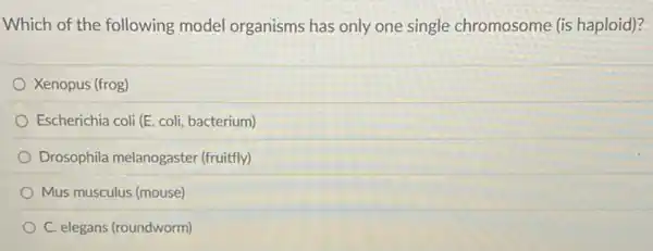 Which of the following model organisms has only one single chromosome (is haploid)?
Xenopus (frog)
Escherichia coli (E. coli bacterium)
Drosophila melanogaster (fruitfly)
Mus musculus (mouse)
C. elegans (roundworm)