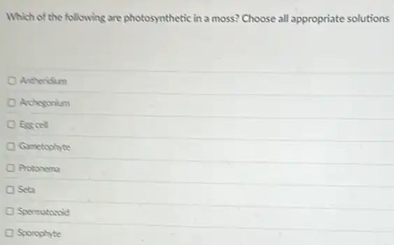 Which of the following are photosynthetic in a moss?Choose all appropriate solutions
Antheridium
Archegonium
Esscell
Gametophyte
Protonema
Seta
Spermatoroid
Sporophyte