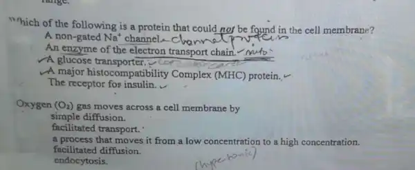 which of the following is a protein that could not be found in the cell membrane?
A non-gated
An enzyme of the electron transport chain
A glucose transporter.
A major histocompatibility Complex (MHC) protein.v
The receptor for insulin.
Oxygen (O_(2)) gas moves across a cell membrane by
simple diffusion.
facilitated I transport.
a process that moves it from a low concentration to a high concentration.
facilitated diffusion.
endocytosis.