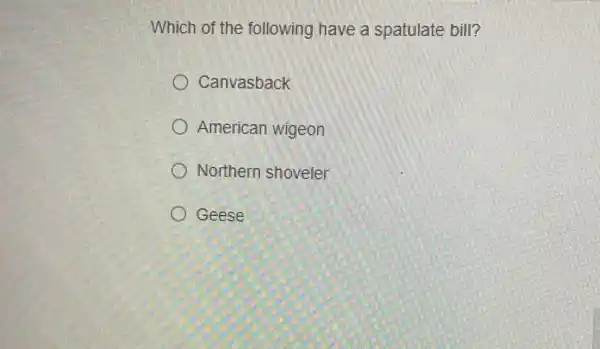 Which of the following have a spatulate bill?
Canvasback
American wigeon
Northern shoveler
Geese