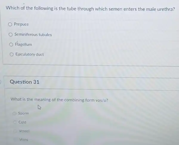 Which of the following is the tube through which semen enters the male urethra?
Prepuce
Seminiferous tubules
Flagellum
Ejaculatory duct
Question 31
What is the meaning of the combining form vas/o?
Sperm
Cold
Vessel
Vcins