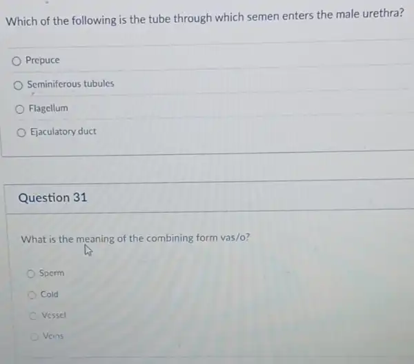 Which of the following is the tube through which semen enters the male urethra?
Prepuce
Seminiferous tubules
Flagellum
Ejaculatory duct
Question 31
What is the meaning of the combining form vas/o?
Sporm
Cold
Vessel
Vcins